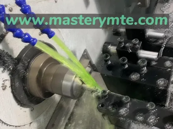 Pignon de transmission de pièces automobiles de ver