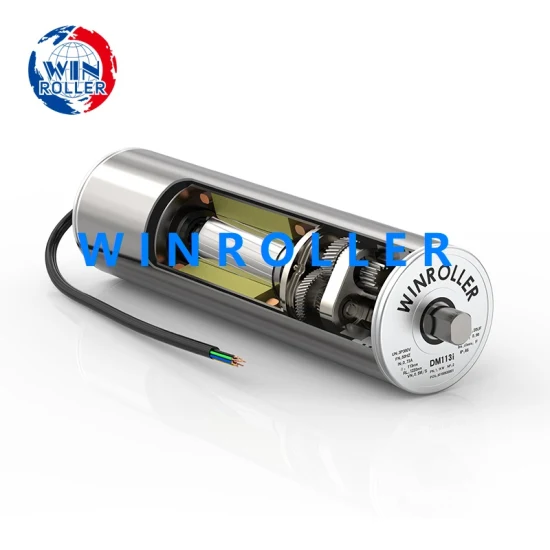 Winroller Build-in AC Motor Dm113/138/165/216 Poulie de convoyeur pour convoyeur à bagages